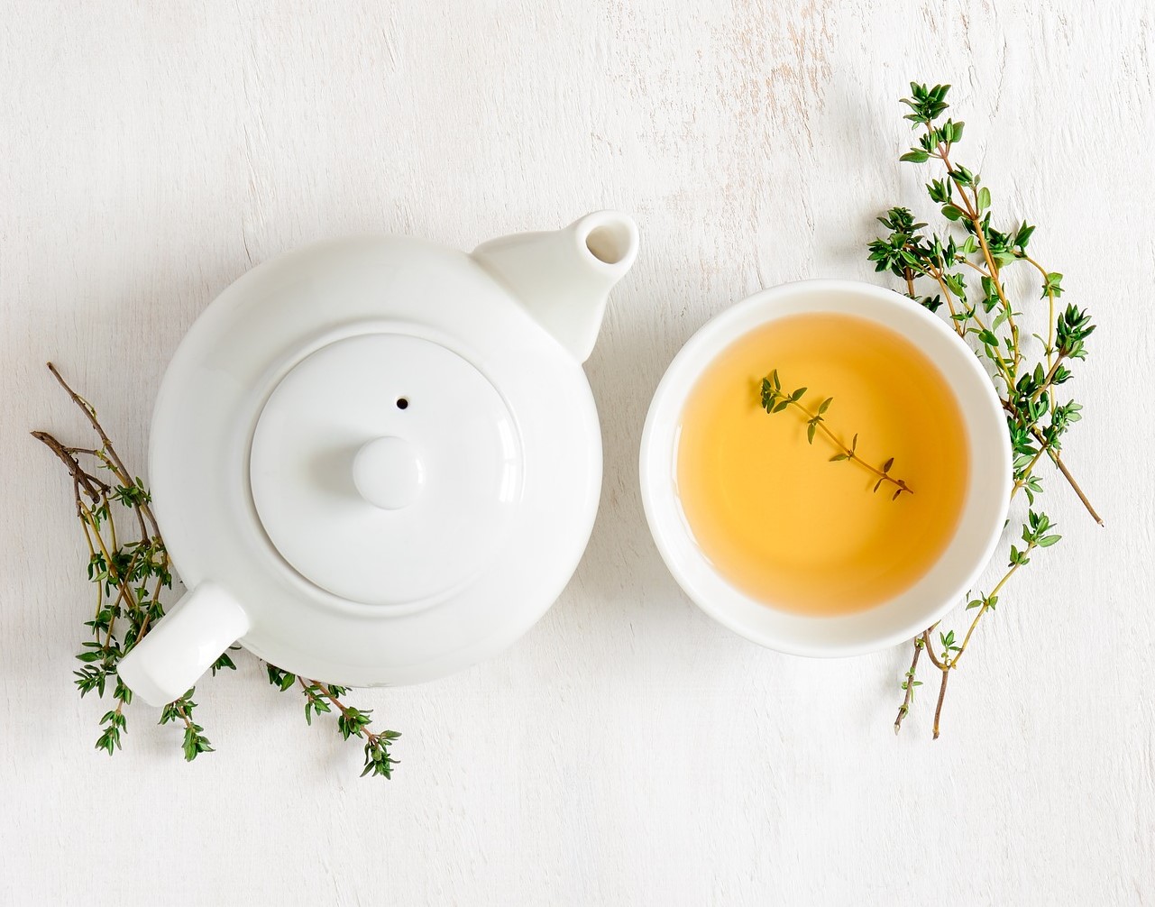 Endométriosis phytothérapy